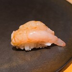 鮨 こしかわ - 甘エビ