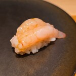 鮨 こしかわ - 甘エビ