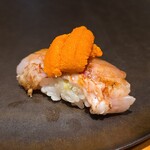 鮨 こしかわ - ノドグロとうに