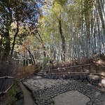 茶寮 汐入 - 竹林