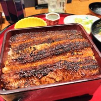 炭焼 うな富士 有楽町店 - 