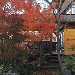 イルグラーノ製麺所・イートインデノミーナ - 美しいお庭