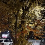 中華そば 螢 - 6-7人座れるベンチがあるよ