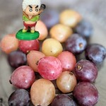 わくわく広場 - あーーーー葡萄ちゃんの上に乗るのはアウト―――‼‼