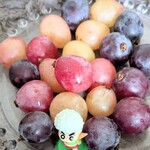 わくわく広場 - てか、誰？？お皿に乗るなってば‼