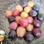 わくわく広場 - あ、、瞬間異動したんか・・あーー降りたのね♬