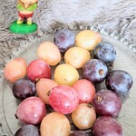 わくわく広場 - あ、あれ・・また・・瞬間異動したみたいーー