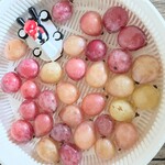 わくわく広場 - 先ずは広々とシャワー。