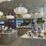 LAGOON TOOTH TOOTH - 