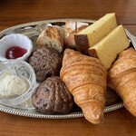 LAGOON TOOTH TOOTH - 