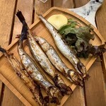 キャンプ酒場 TOKOCK - 