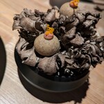 レスピラシオン - 