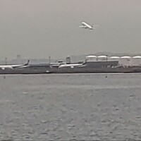 シンフォニー東京湾クルーズ - 