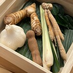 美会 - 色々なタイハーブ