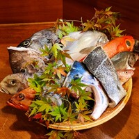 銀平 北新地店 - 