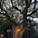 炭焼うな富士 - 