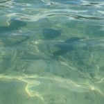 Hanauma Bay Nature Preserve - 