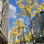 麺屋ガテンの乱 - 御堂筋の紅葉♪