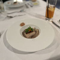 THE KOBECRUISE コンチェルト - 