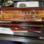 一本鰻 藤 - 