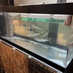 海鮮酒場　虹里 - 