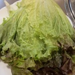 太陽 - サンチェ