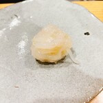 こい勢 - スルメイカ