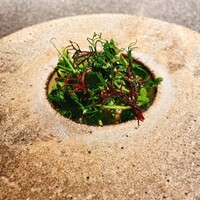 アニエルドール - 