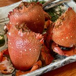 大海 - アサヒガニ