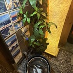 入谷鬼子母神門前のだや - 