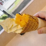 パーム - マンゴーソフトクリーム(レギュラー)③