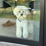 ROCCA&FRIENDS CREPERIE - 