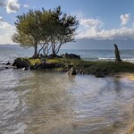 シャーレ水ヶ浜 - 湖畔