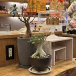 TAGAYASU GENERAL STORE TENMA - 