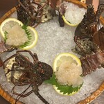 網元の宿 ろくや - 