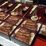 コジマヤ本店 - 