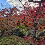パンとエスプレッソと嵐山庭園 - 