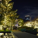 美会 - 2025/12/29 4.35