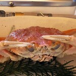 かに大陸 - 松葉親かに