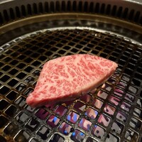 近江うし 焼肉 にくTATSU 青山本店 - 