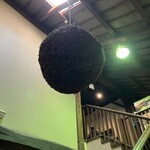 白雪ブルワリーレストラン長寿蔵 - デカすぎる杉玉！