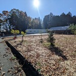 料理と氷菓 禾果漂馨 - 