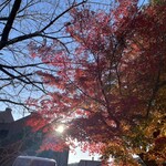 クラブハリエ 近江八幡日牟禮ヴィレッジ - 