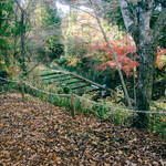 滝口わさび園 - 