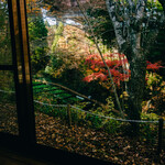 滝口わさび園 - 