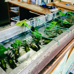 滝口わさび園 - 