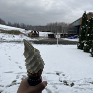 美瑛放牧酪農場_1