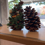 テラス ダニエル - 