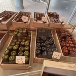 テラス ダニエル - 