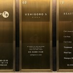 USHIGORO S. GINZA - 